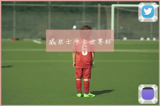 威尔士冲击世界杯