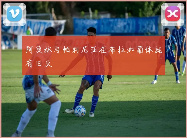 阿莫林与帕利尼亚在布拉加葡体就有旧交
