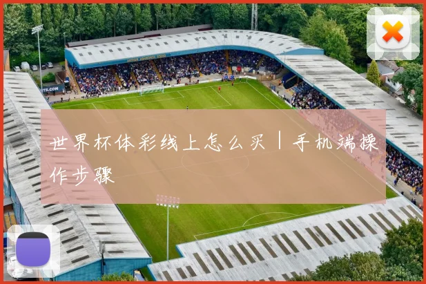 世界杯体彩线上怎么买｜手机端操作步骤